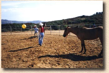 Bethanne and Miss Goldie, Vicki and Dancer